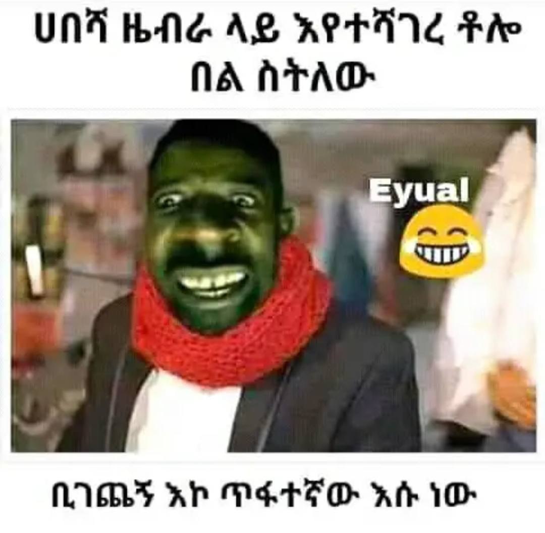 ሀበሻ ዜብራ ላይ አየተሻገ ችሎ una IbNe AS aera Bh: